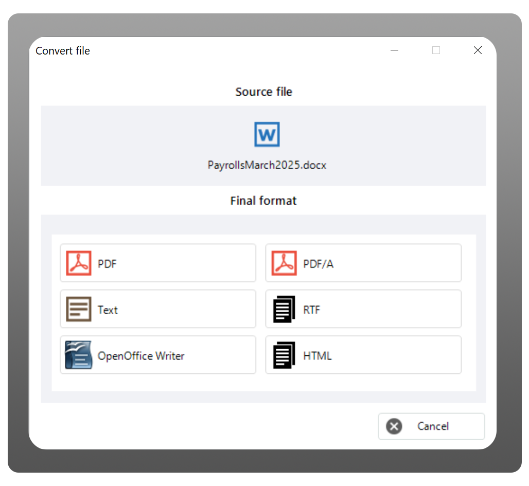 Image of an app window where it shows the possible conversion formats for a document to be converted into