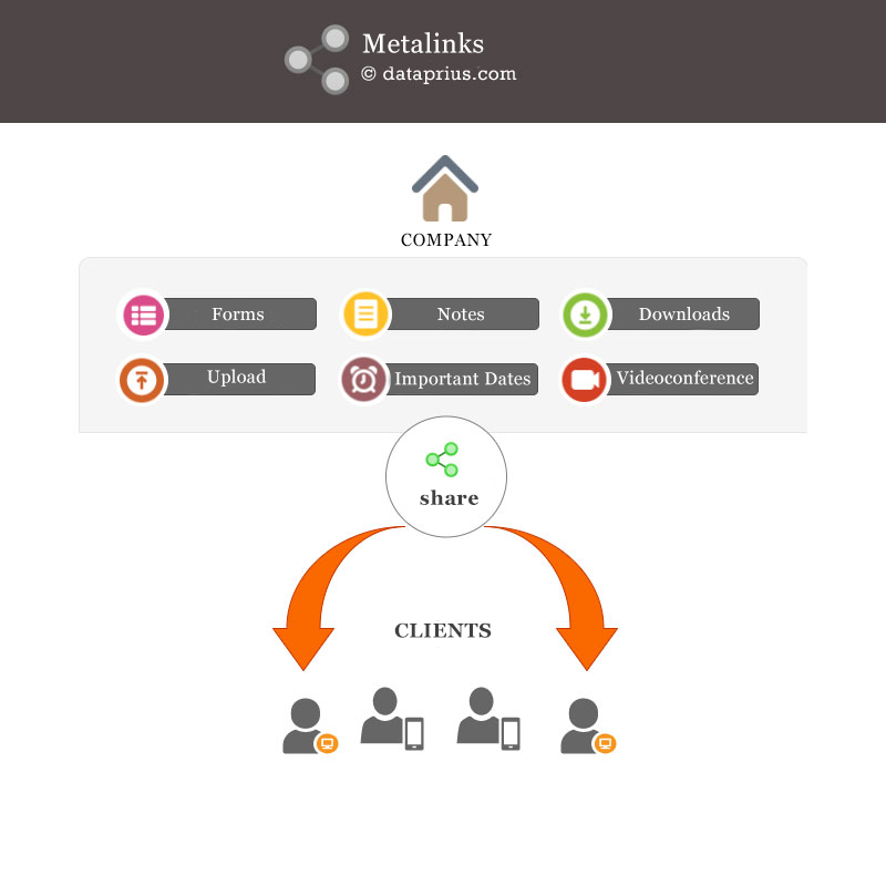 A diagram showing how the company share with clients