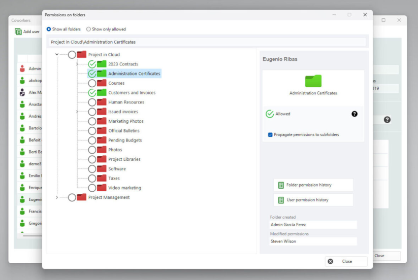 Folder access permissions. Tree view.